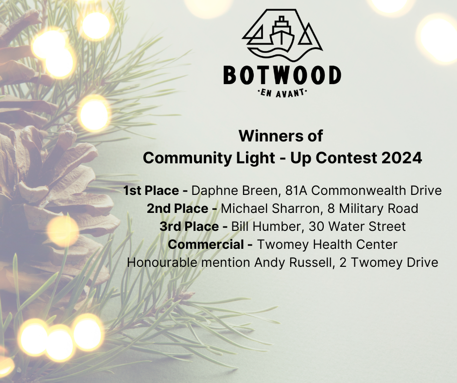 Winners of Community Light – Up Contest 2024 – Town of Botwood, NL